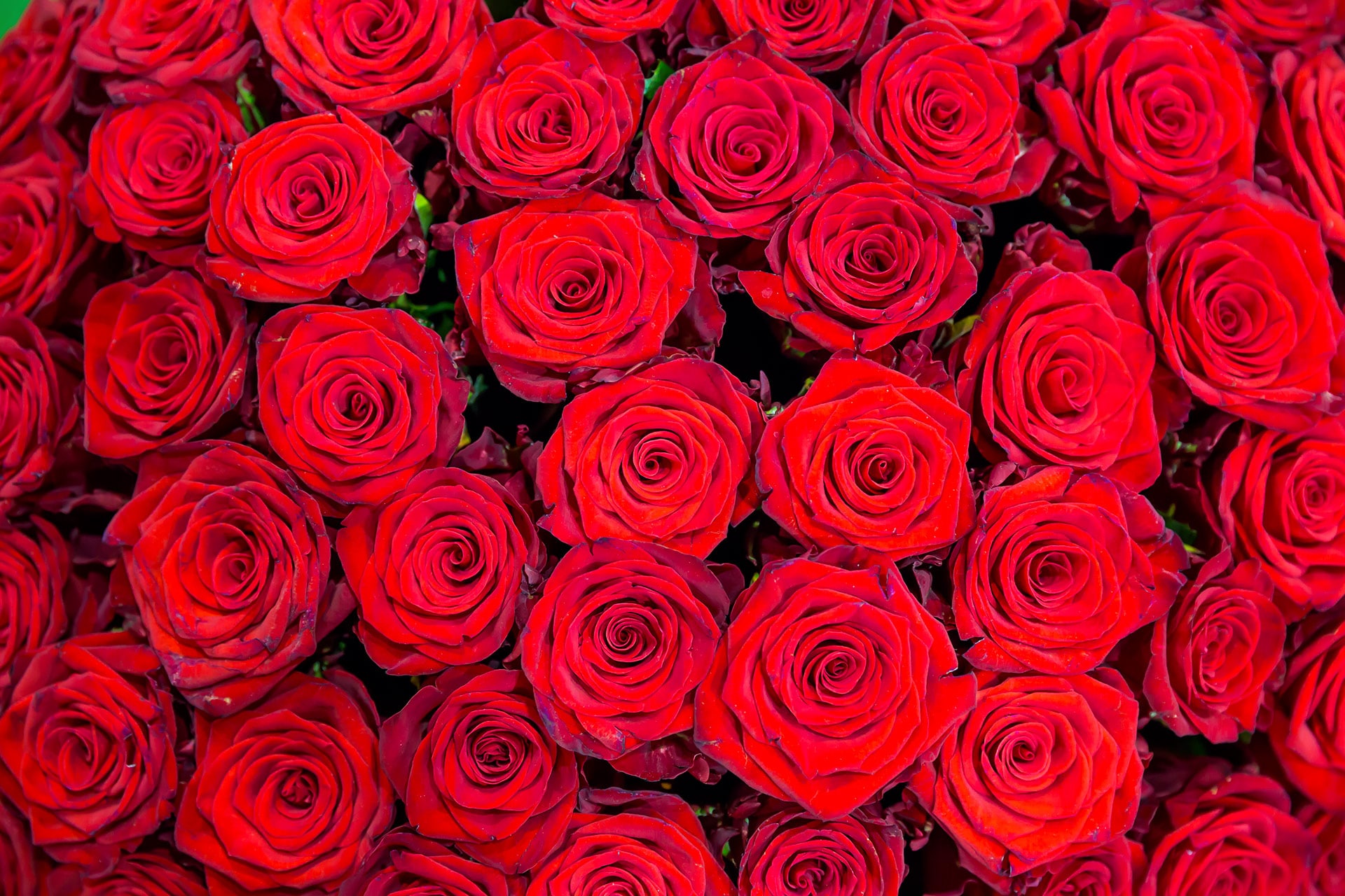 Mazzo di fiori con rose rosse » Fiori a Castellammare di Stabia, invio fiori  a Castellammare di Stabia, consegna fiori a domicilio a Castellammare di  Stabia.
